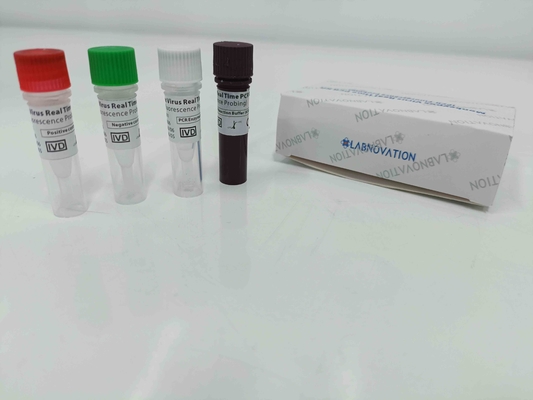 کیت تست Real Time Pox PCR با کنترل مثبت/منفی