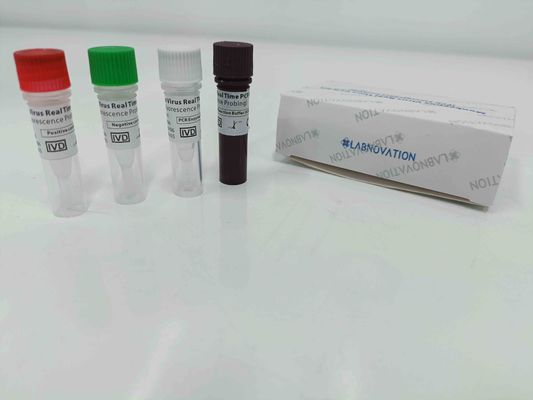 کیفیت  Real Time Monkeypox PCR Test Kit With Positive / Negative Control کارخانه